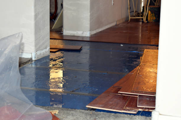 Professional Flood Damage Repair technician working in Beulah, MI